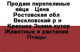  Продам перепелиные яйца › Цена ­ 3 - Ростовская обл., Веселовский р-н, Красное Знамя хутор Животные и растения » Птицы   